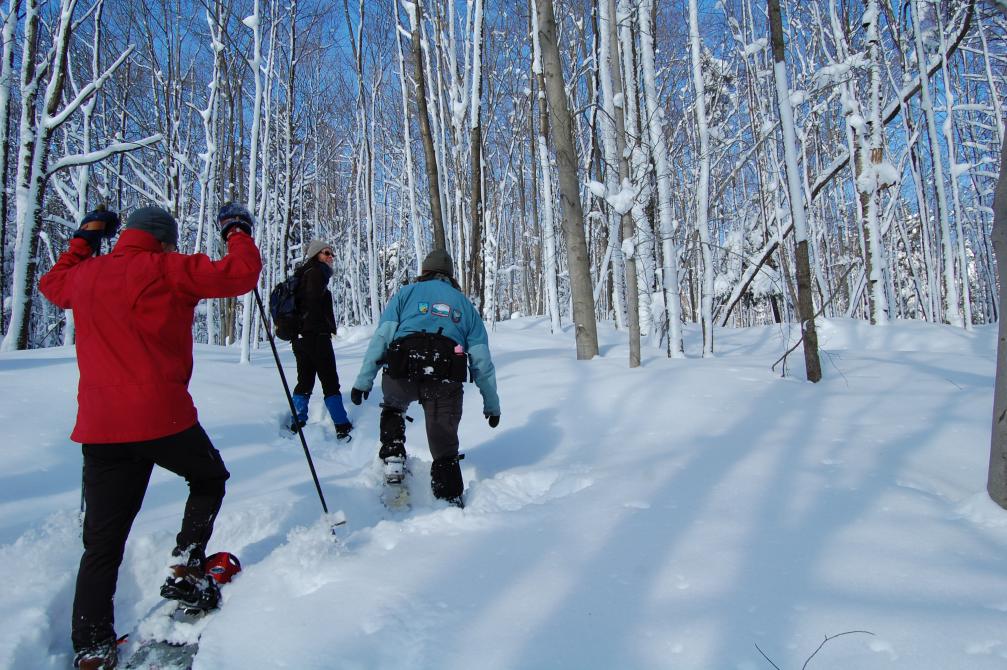 Staycations in the Eastern Townships: snowshoeing