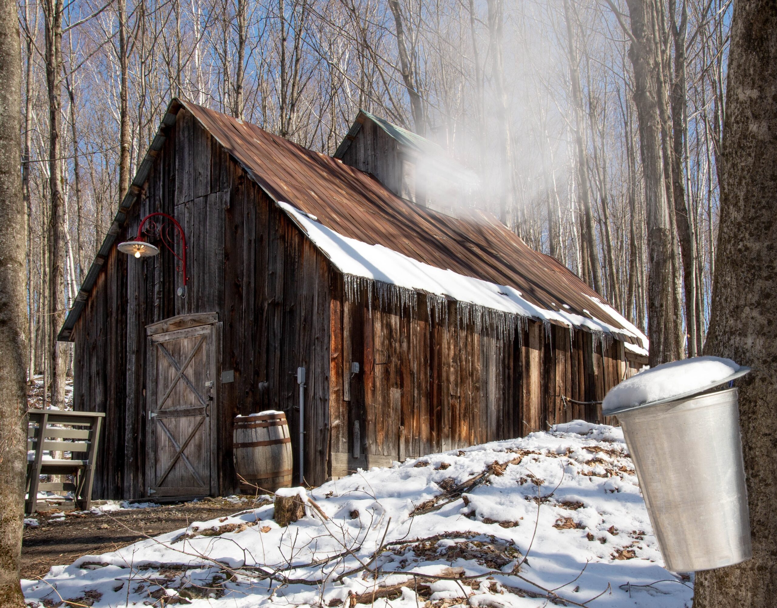 Cabane à sucre